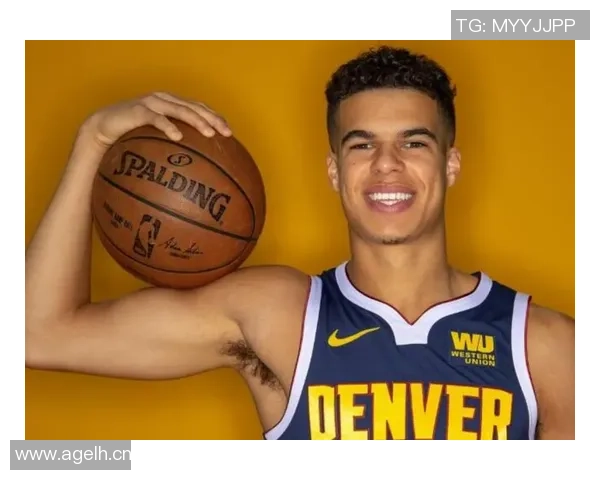 瑞典足协积极接触波特联赛重燃激情期待新赛季表现