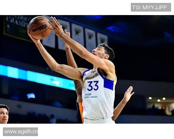 勇士新援莱昂斯接过33号球衣上一位是怀斯曼的传奇回顾