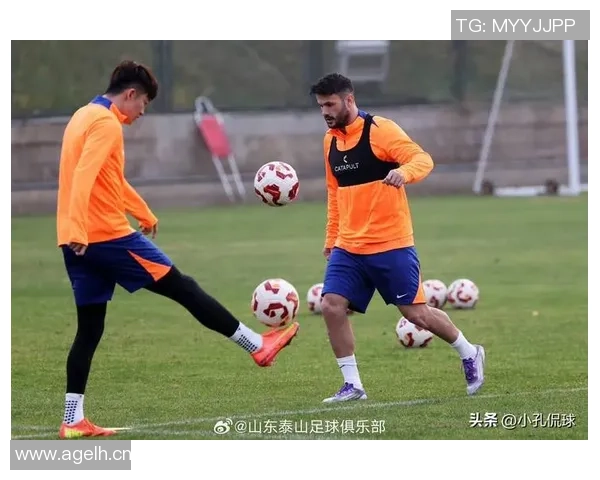 津门虎明日出征泰山面临伤病与停赛困扰球队前景堪忧